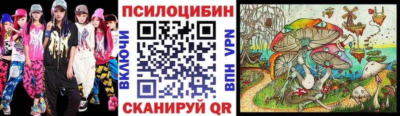 Купить Тырныауз Псилоцибиновые грибы прущие грибы